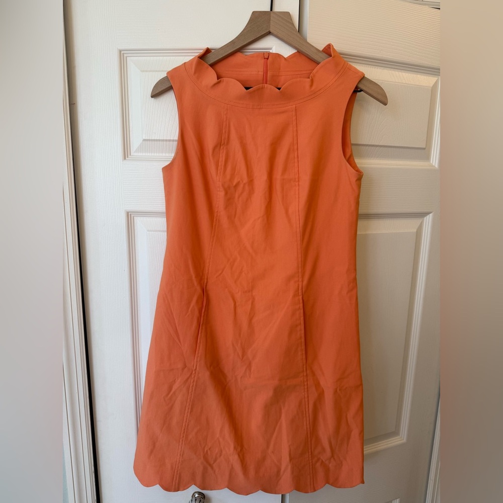 Sara Campbell Orange Signature Stretch Scallop Dress - Picture 3 of 6